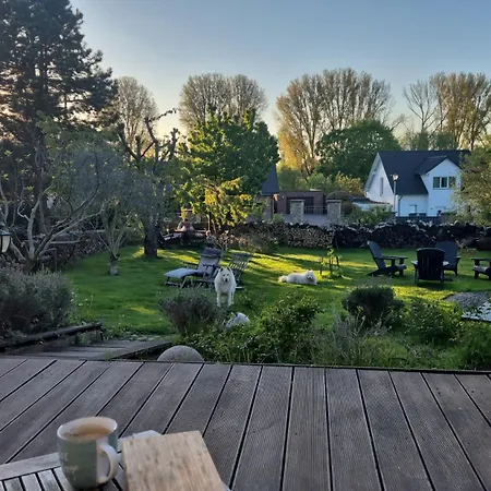 Schoenste Lage Am Rhein In Unmittelbarer Stadtnaehe, B & B-2